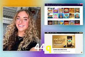 Premium Interface 44q